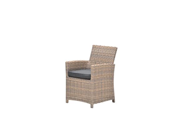 Seagull Dining Stuhl - vintage willow - reflex black