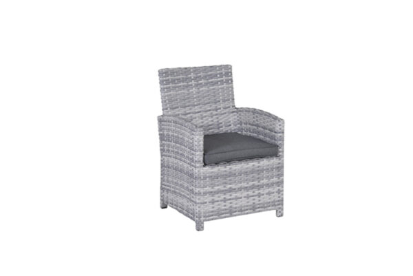 Garden Impressions Seagull dining sessel - cloudy grey - reflex black