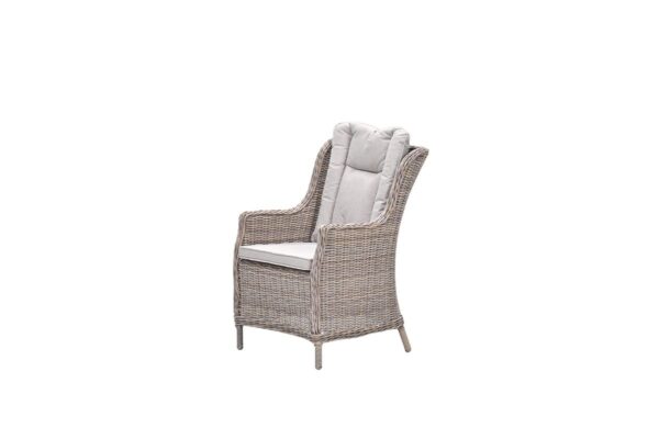 Osborne Dining Stuhl - vintage willow - desert sand